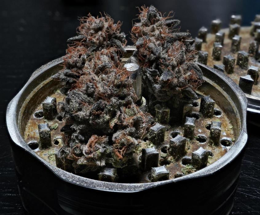 ChickenWafflez, Hella Jelly, Nutter Butt. Week 16