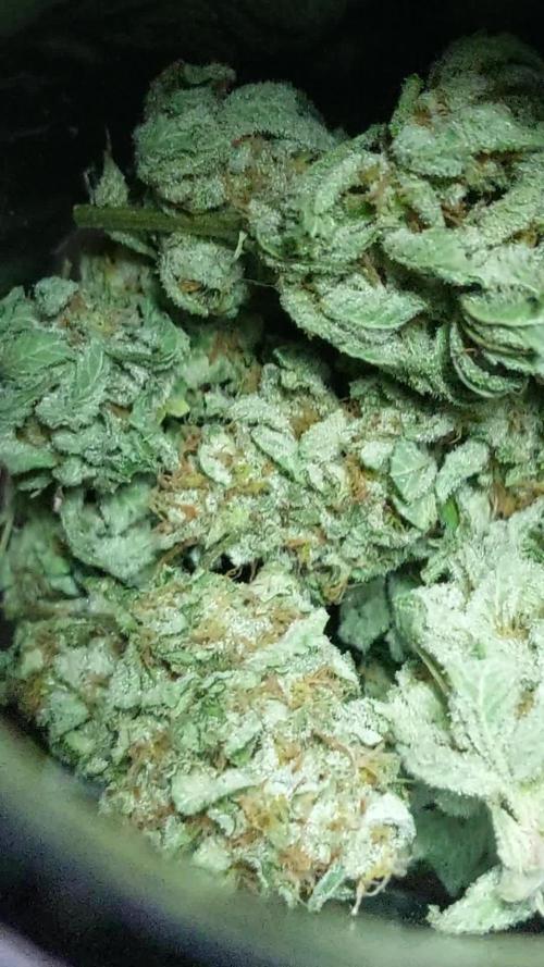 Truffles Treats x Head Banger