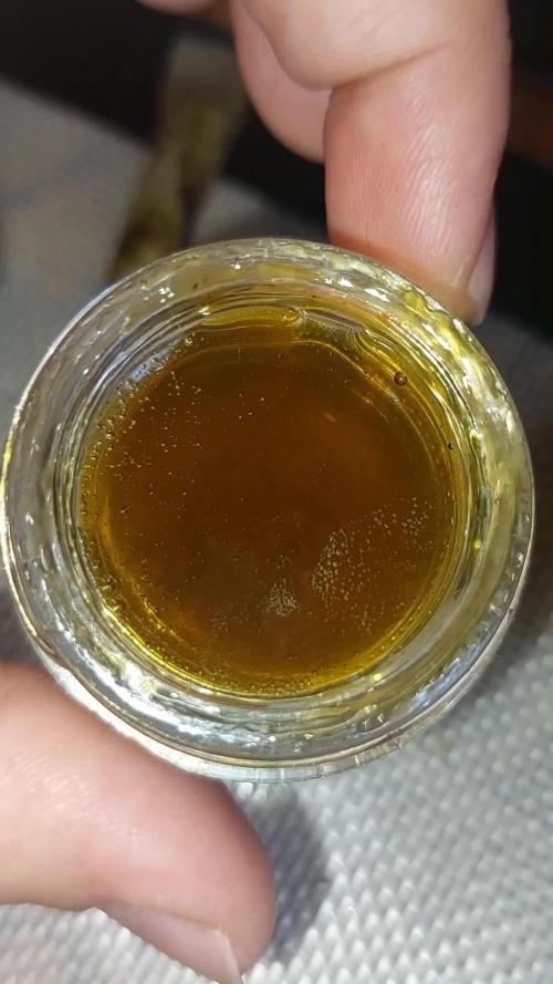 Tropicanna ciclo 13/11