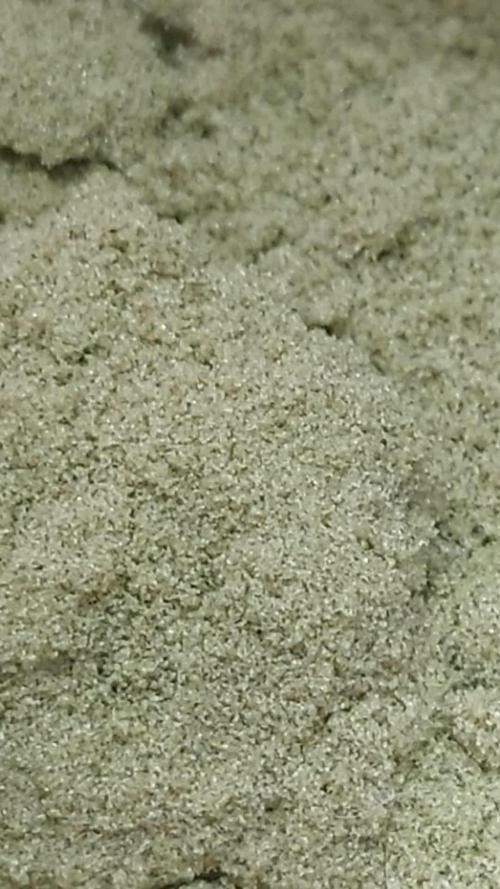 Cookies Kush: ciclo 13/11