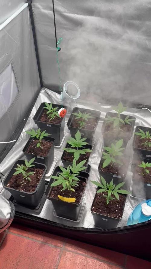 ultimo ciclo del año🌱💚