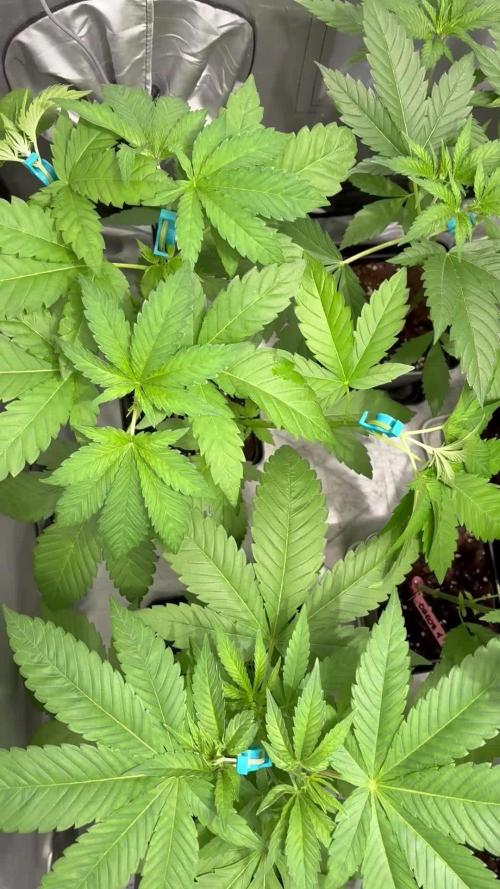 ultimo ciclo del año🌱💚