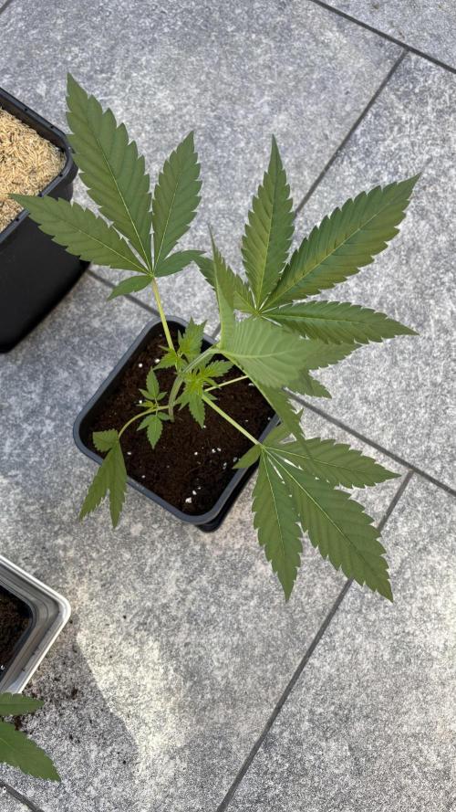 Bike Exterior. Week 7