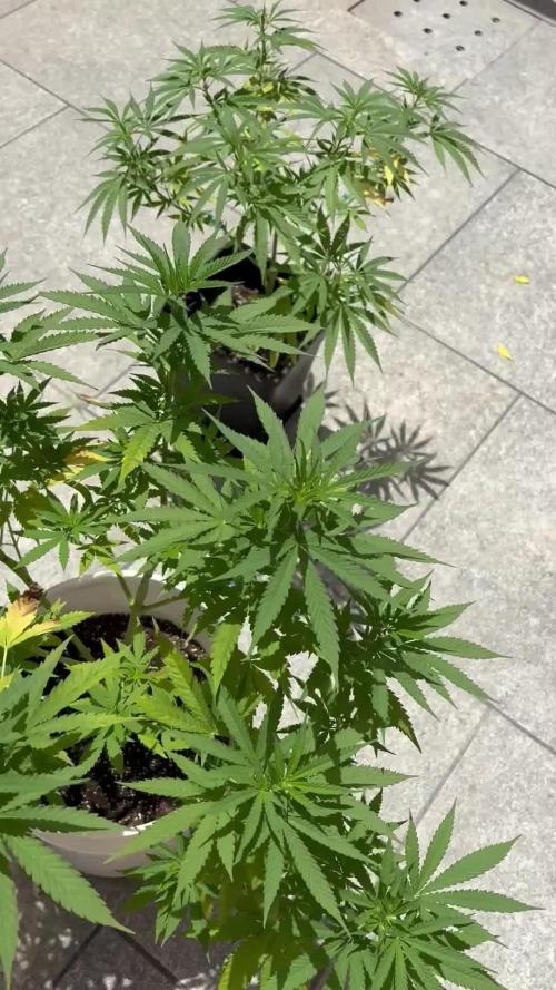 ultimo ciclo del año🌱💚