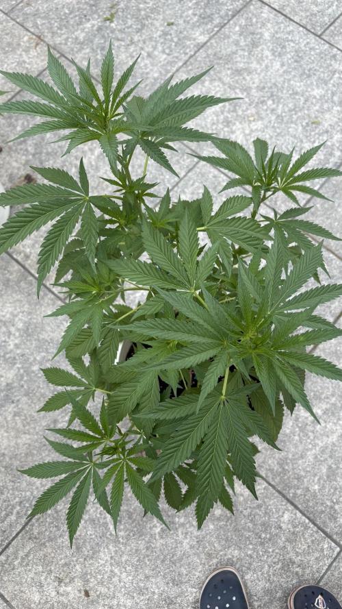 Bike Exterior. Week 9