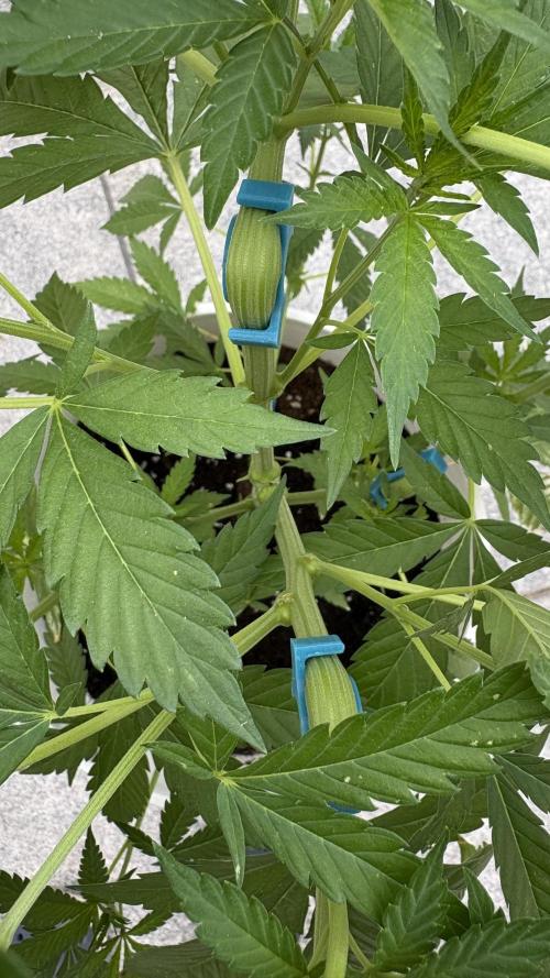 Bike Exterior. Week 9