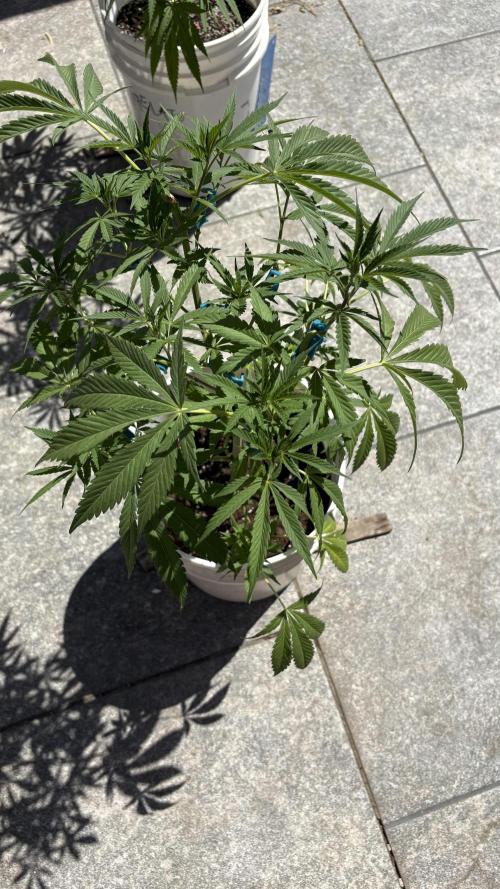 Bike Exterior. Week 12