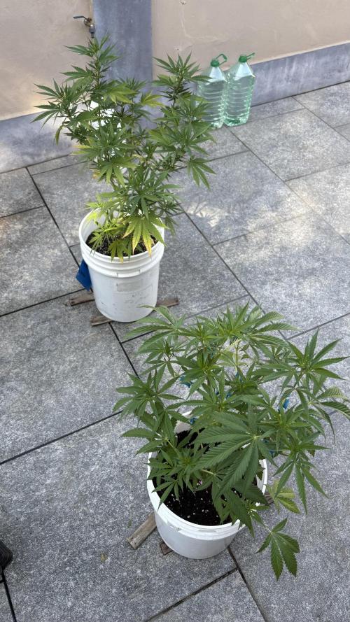 Bike Exterior. Week 12