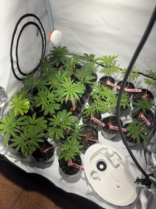 Bike Exterior. Week 12