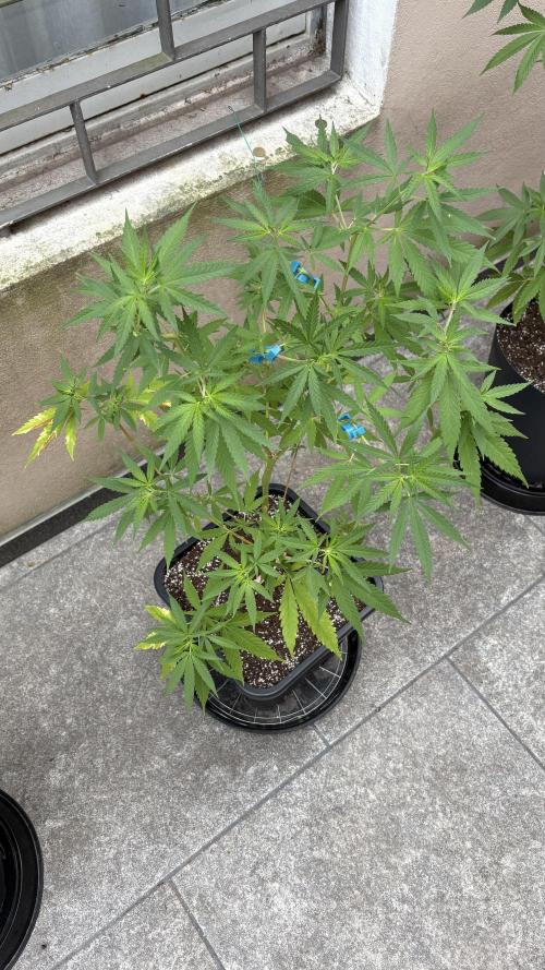 ultimo ciclo del año🌱💚. Week 13