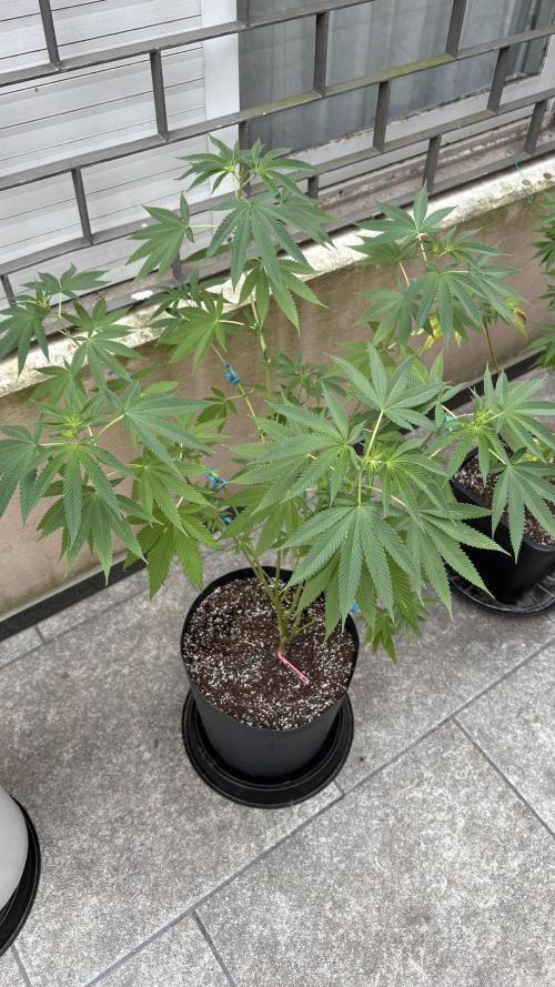 ultimo ciclo del año🌱💚. Week 13