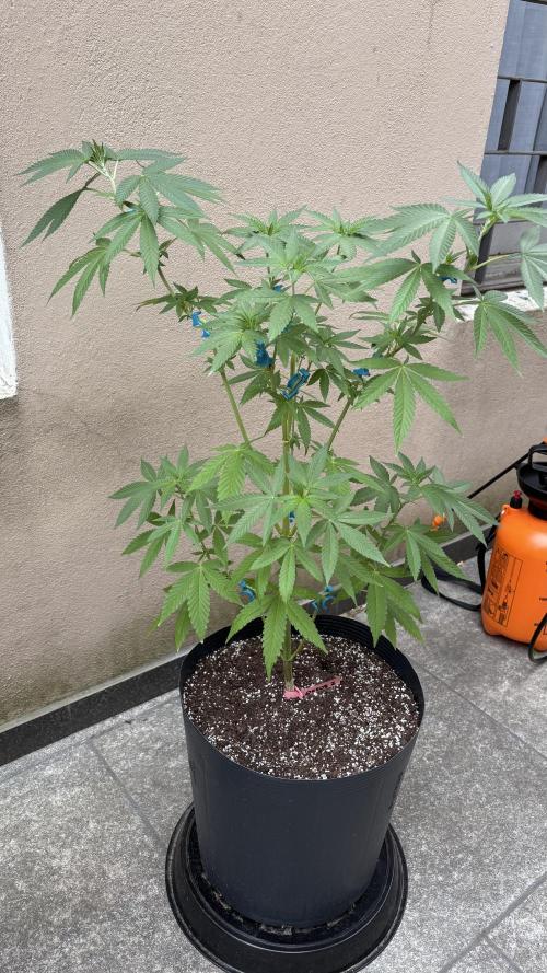 ultimo ciclo del año🌱💚. Week 13