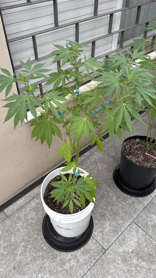 ultimo ciclo del año🌱💚. Week 13