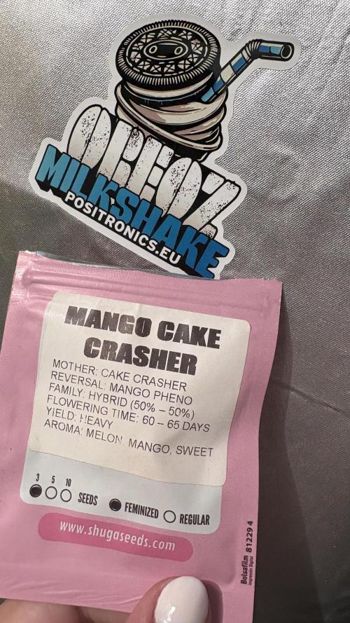 Oreoz Milkshake. Week 10