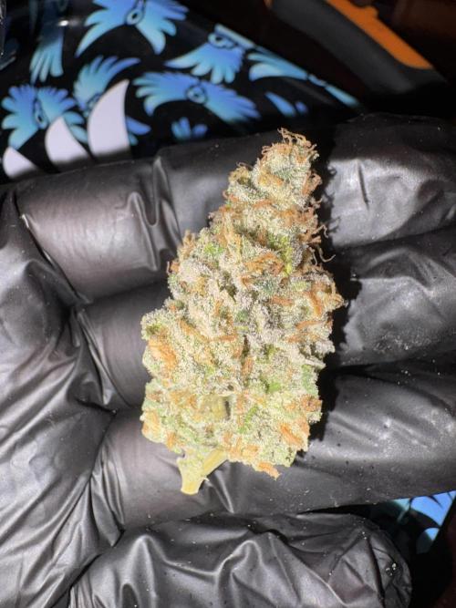 Oreoz Milkshake. Week 16