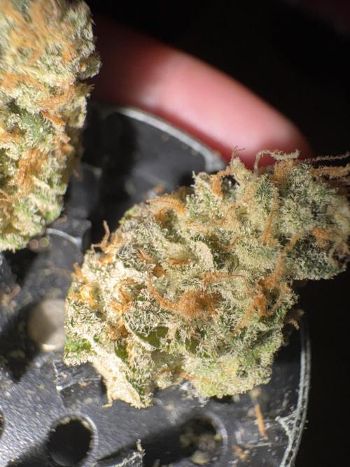 Oreoz Milkshake. Week 16