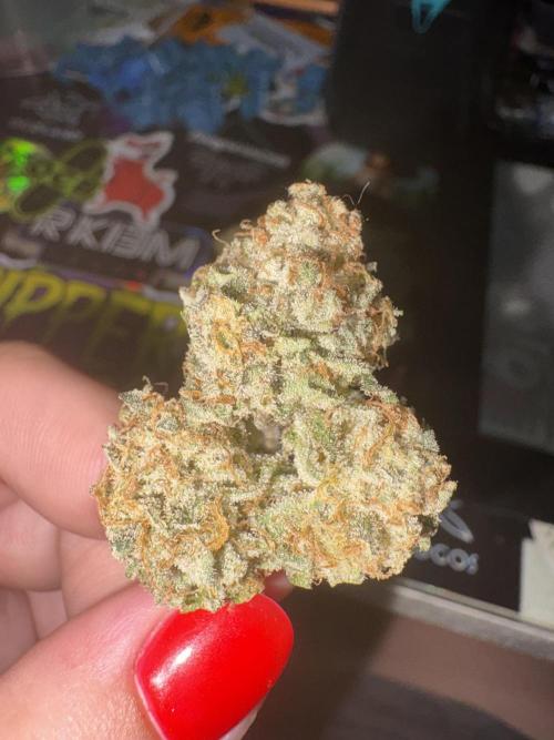 Oreoz Milkshake. Week 16