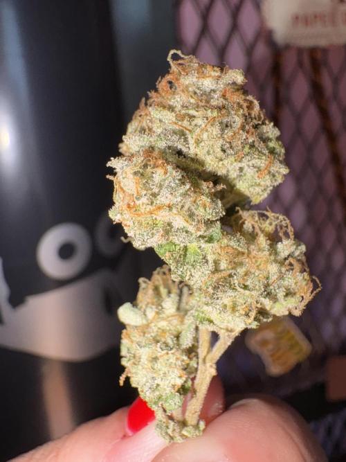 Oreoz Milkshake. Week 16