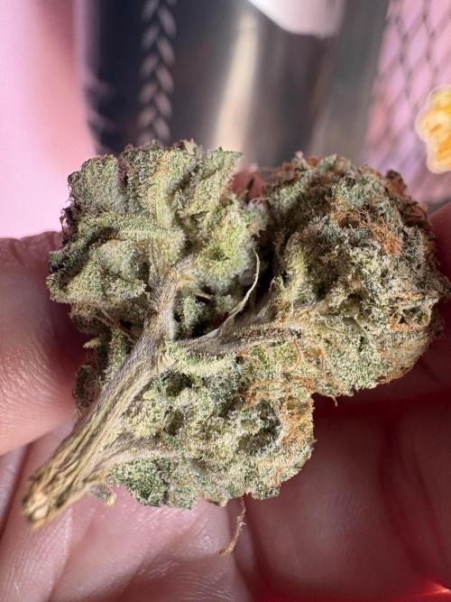 Oreoz Milkshake. Week 16