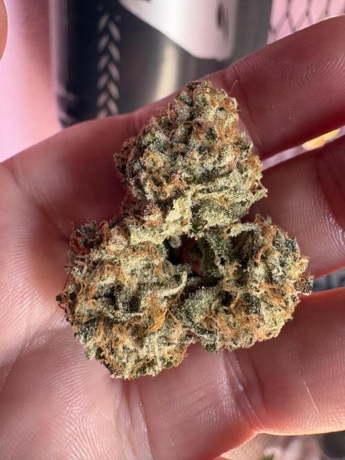 Oreoz Milkshake. Week 16