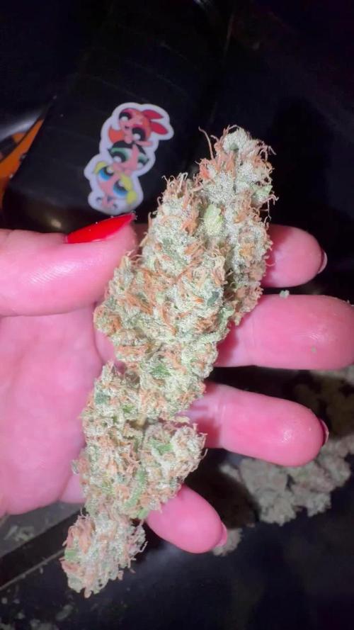 Oreoz Milkshake f3