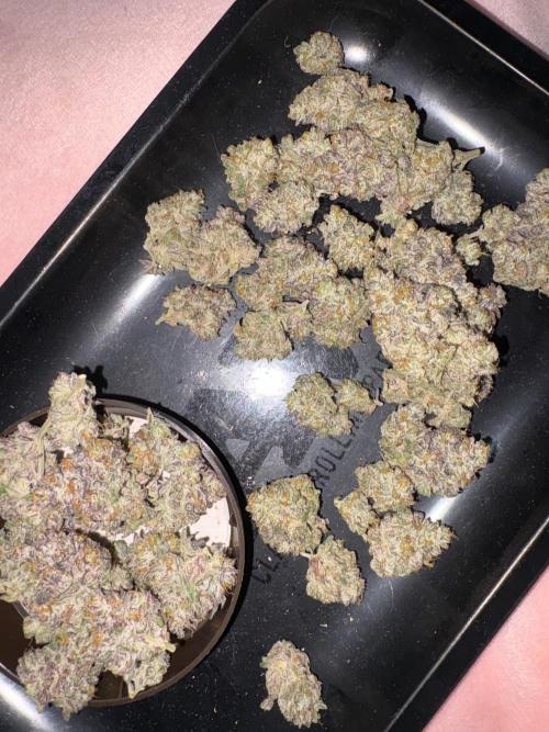 SOG: Oreoz Milkshake f2. Week 10 - Oreoz f2 en la tapita y f1 en la bandeja😻