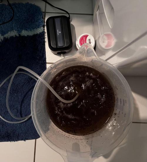 La Bomba !!!. Week 6