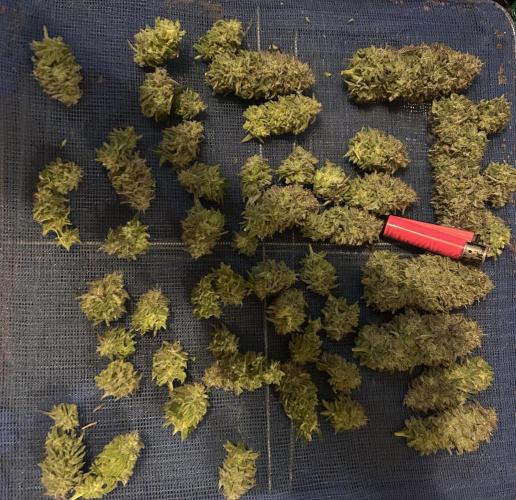 I can’t decide so I do them all. Week 14