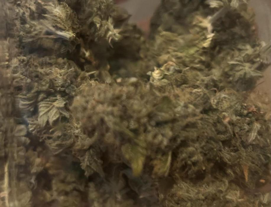 I can’t decide so I do them all. Week 15