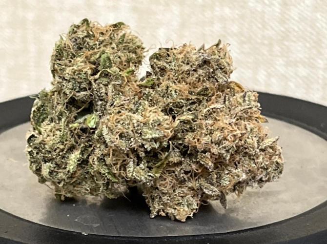 Sunday Punch EV. Week 10