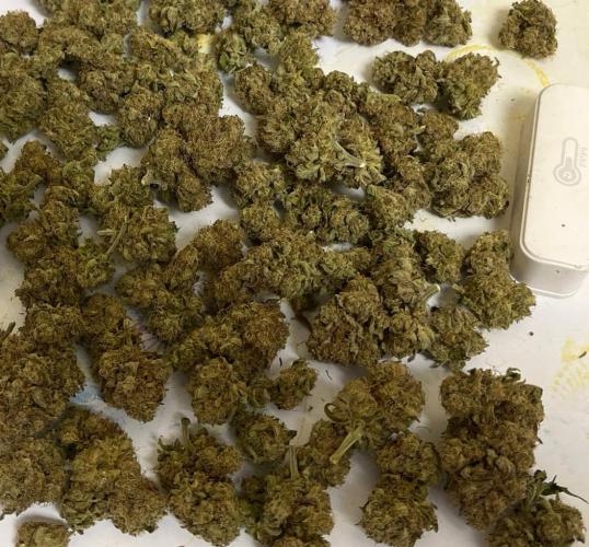 Sunday Punch EV. Week 10