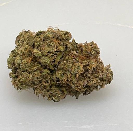 Sunday Punch EV. Week 10