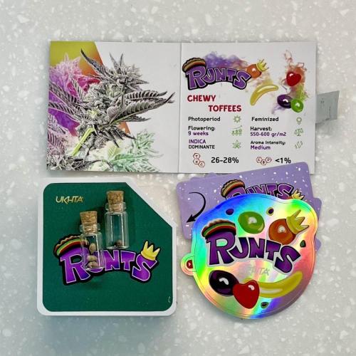 Runts & Polar Gelato. Week 0