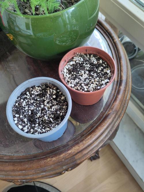 First Photo Outdoor. Week 0