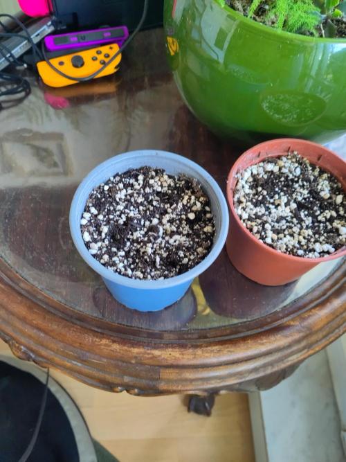 First Photo Outdoor. Week 0