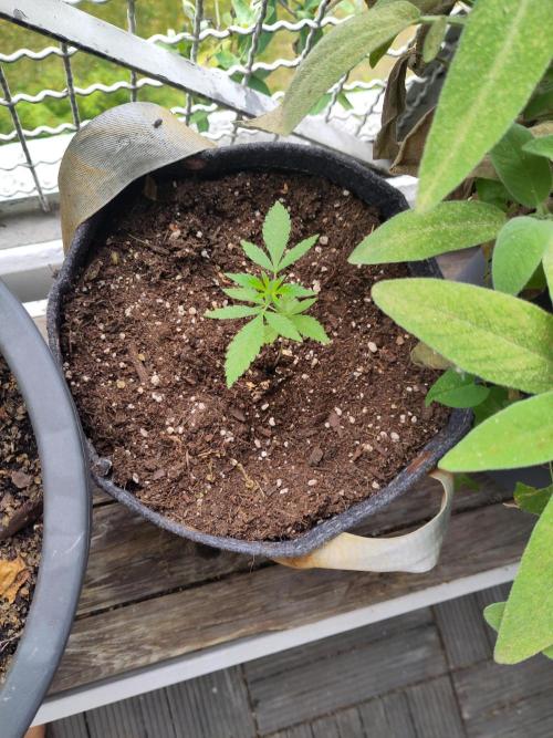 First Photo Outdoor. Week 4