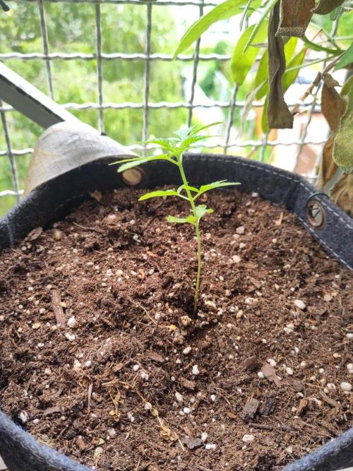 First Photo Outdoor. Week 4