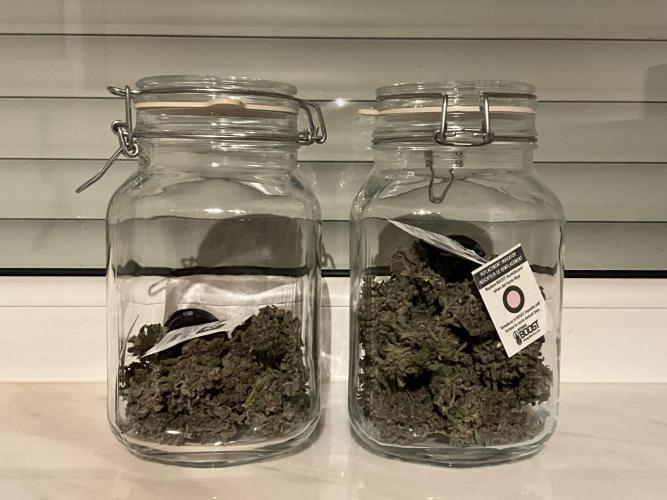 Cherry C, Strawberry G, Crystal Meth. Week 11