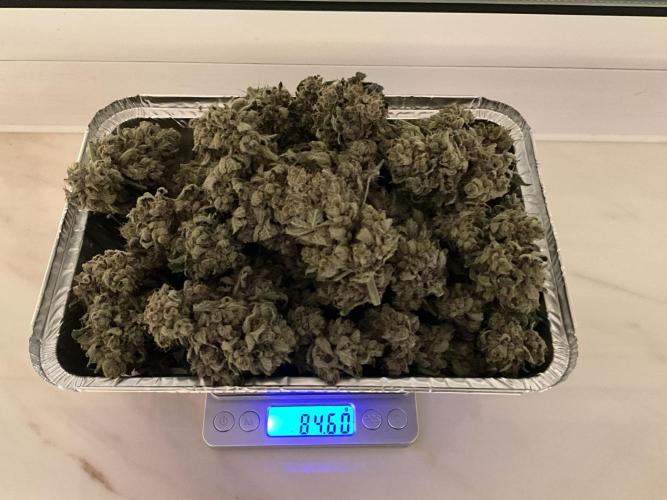 Cherry C, Strawberry G, Crystal Meth. Week 12