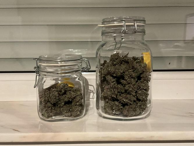 Cherry C, Strawberry G, Crystal Meth. Week 12