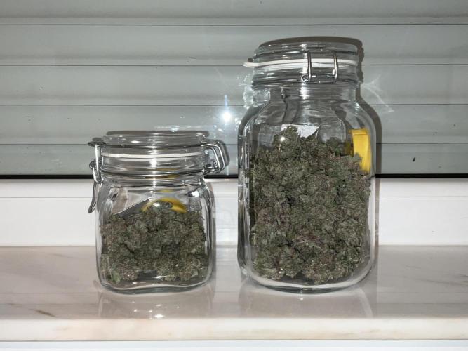 Cherry C, Strawberry G, Crystal Meth. Week 12