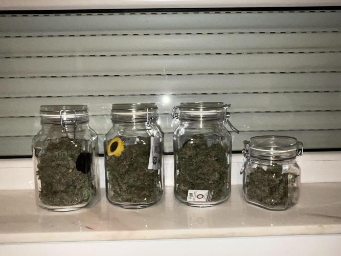 Cherry C, Strawberry G, Crystal Meth. Week 13