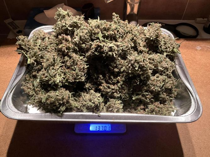 Cherry C, Strawberry G, Crystal Meth. Week 13