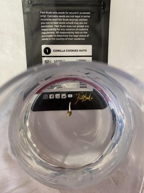 Gelato Auto, Gorilla C, Strawberry G. Week 0