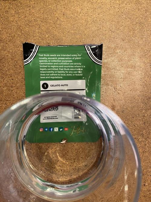 Gelato Auto, Gorilla C, Strawberry G. Week 0