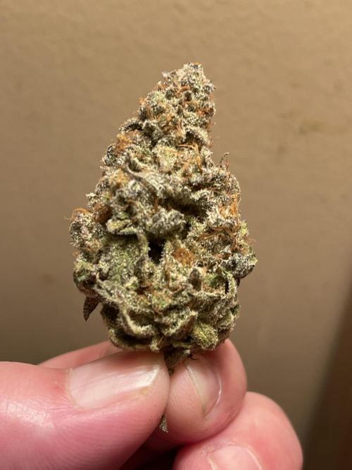 JLG Milk Bubbles & HSC Blueberry Muffin. Week 15