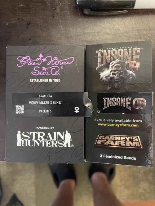 Insane OG, Gran Jefa. Week 0