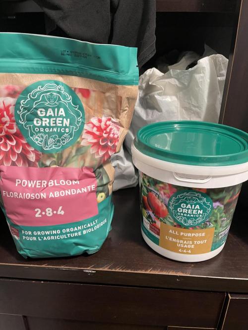 Insane OG, Gran Jefa. Week 0