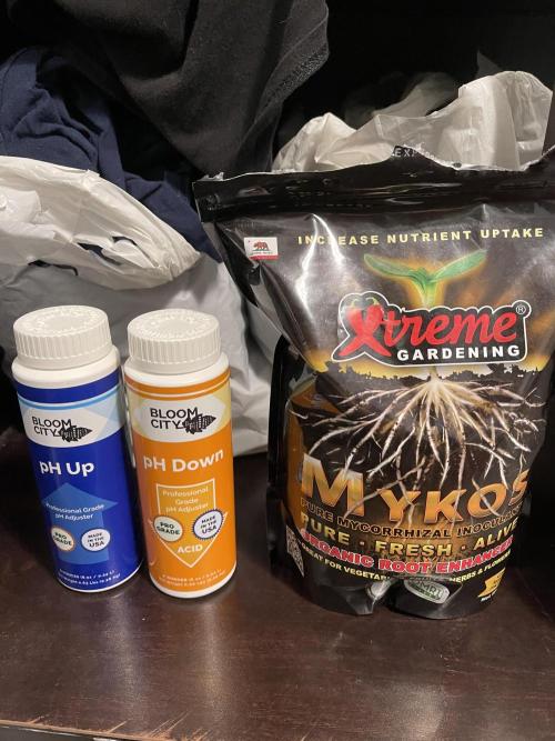 Insane OG, Gran Jefa. Week 0