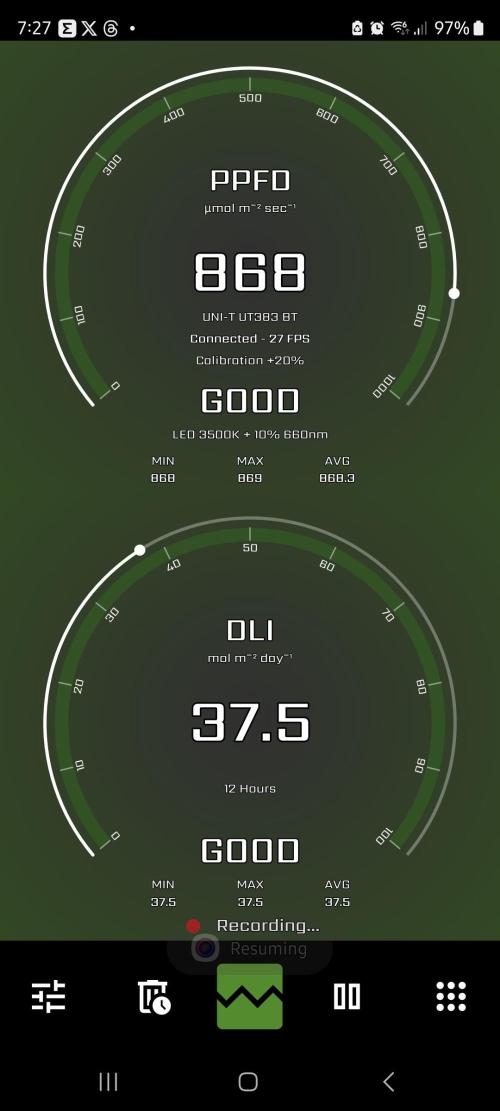 Sensi Seeds Northern Lights Photoperiod. Week 11